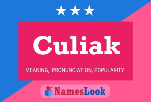 Póster del nombre Culiak