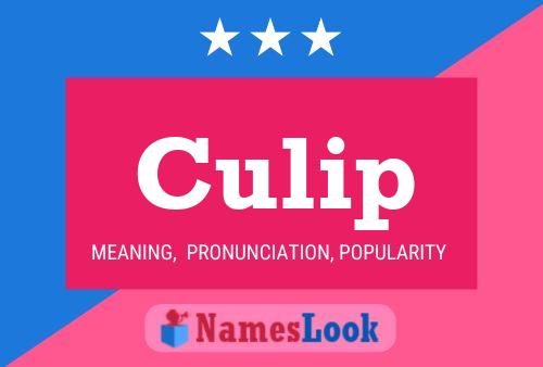 Póster del nombre Culip