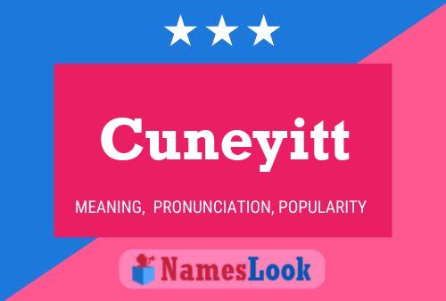 Póster del nombre Cuneyitt