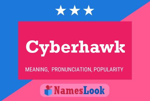 Póster del nombre Cyberhawk