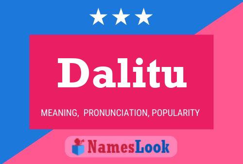 Póster del nombre Dalitu