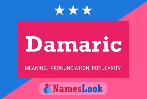 Póster del nombre Damaric