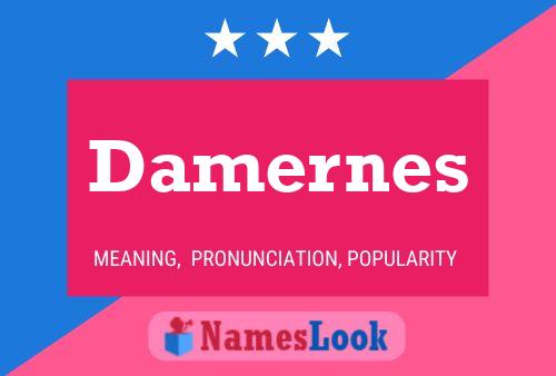 Póster del nombre Damernes