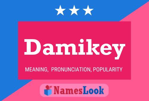 Póster del nombre Damikey