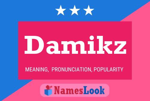 Póster del nombre Damikz