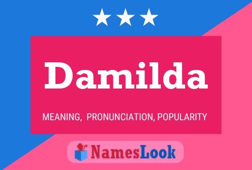 Póster del nombre Damilda