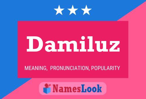 Póster del nombre Damiluz