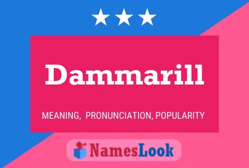 Póster del nombre Dammarill