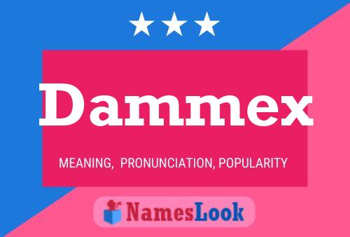 Póster del nombre Dammex