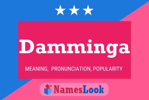 Póster del nombre Damminga