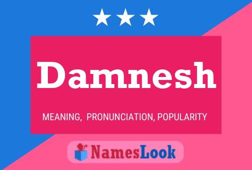 Póster del nombre Damnesh