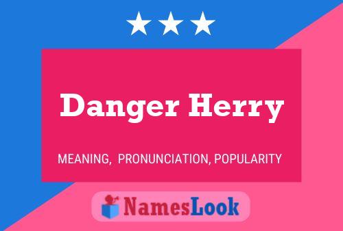 Póster del nombre Danger Herry