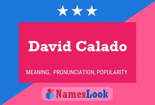 Póster del nombre David Calado