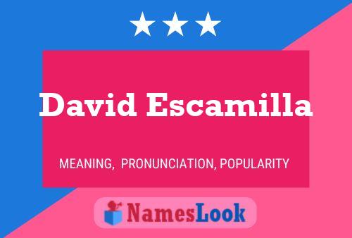 Póster del nombre David Escamilla