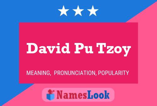 Póster del nombre David Pu Tzoy