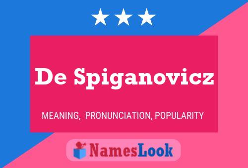 Póster del nombre De Spiganovicz