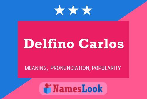 Póster del nombre Delfino Carlos