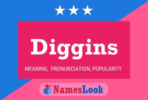 Póster del nombre Diggins