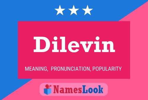 Póster del nombre Dilevin