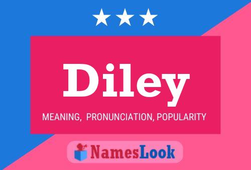 Póster del nombre Diley