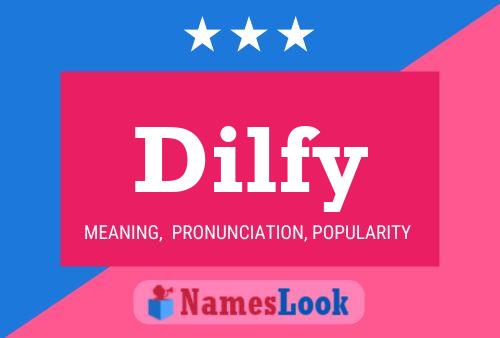 Póster del nombre Dilfy