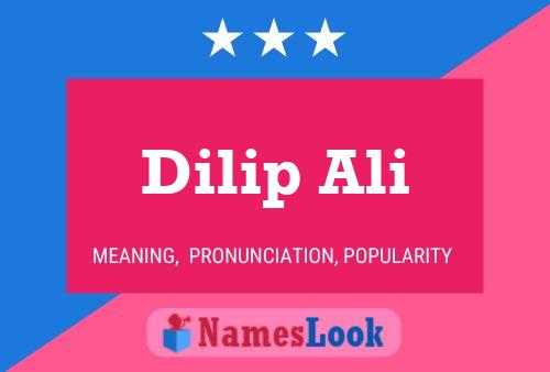 Póster del nombre Dilip Ali