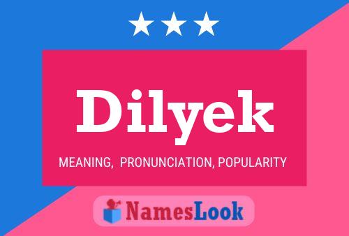 Póster del nombre Dilyek