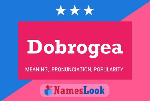 Póster del nombre Dobrogea