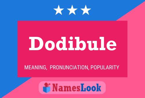 Póster del nombre Dodibule