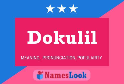 Póster del nombre Dokulil