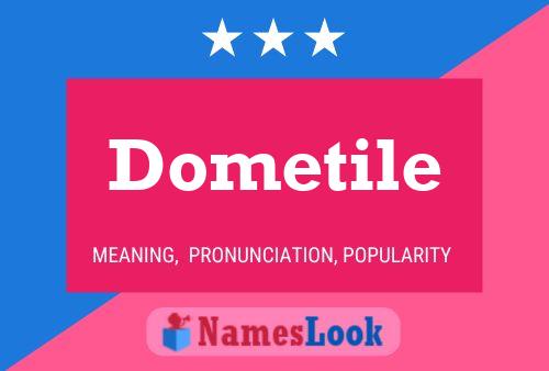 Póster del nombre Dometile