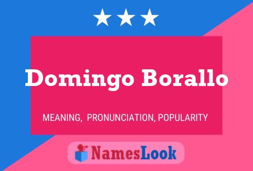 Póster del nombre Domingo Borallo