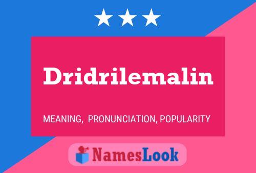 Póster del nombre Dridrilemalin