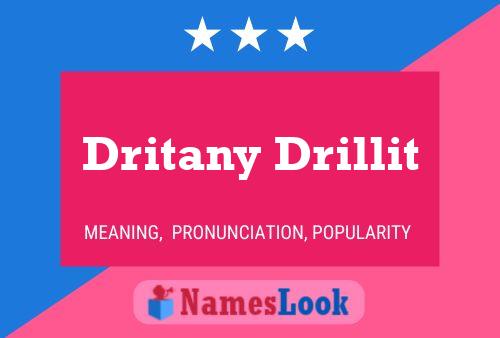 Póster del nombre Dritany Drillit