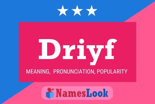 Póster del nombre Driyf