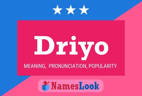 Póster del nombre Driyo