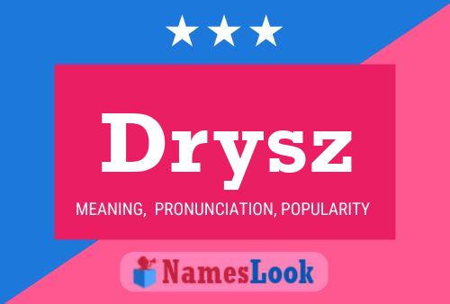 Póster del nombre Drysz