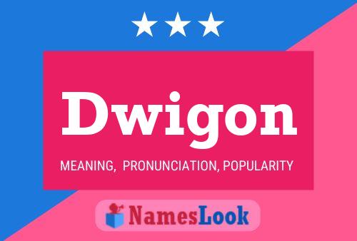 Póster del nombre Dwigon