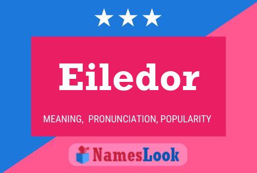 Póster del nombre Eiledor