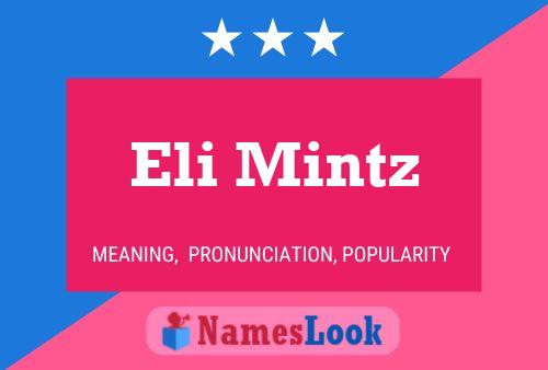 Póster del nombre Eli Mintz