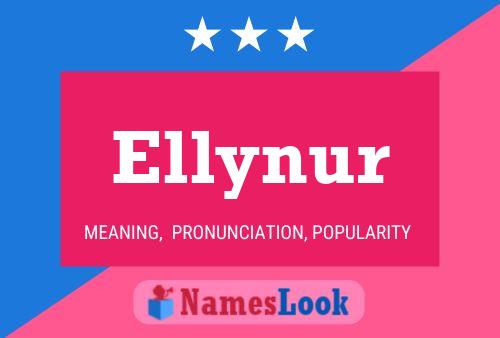 Póster del nombre Ellynur