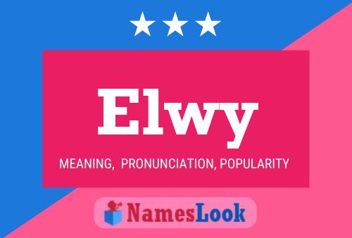 Póster del nombre Elwy