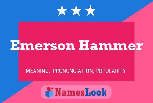 Póster del nombre Emerson Hammer