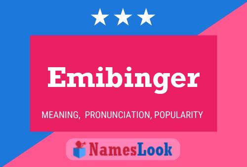 Póster del nombre Emibinger