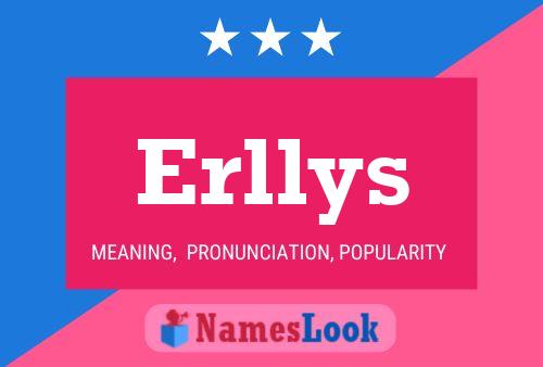 Póster del nombre Erllys