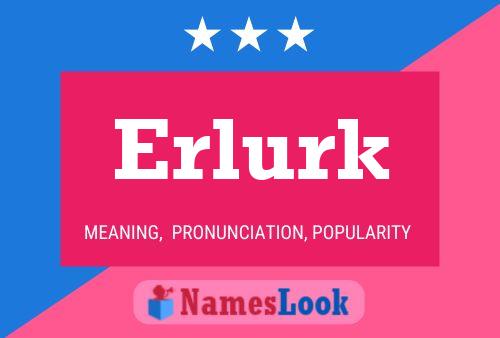 Póster del nombre Erlurk