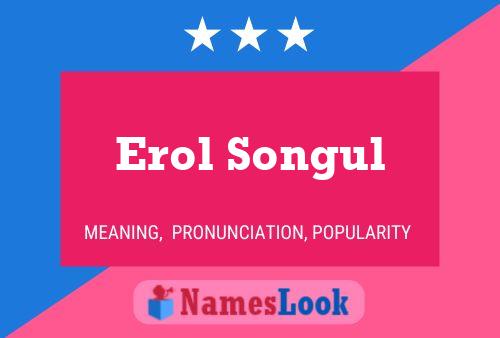 Póster del nombre Erol Songul