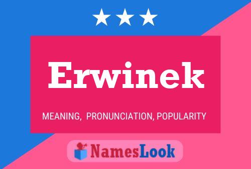 Póster del nombre Erwinek