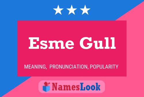 Póster del nombre Esme Gull