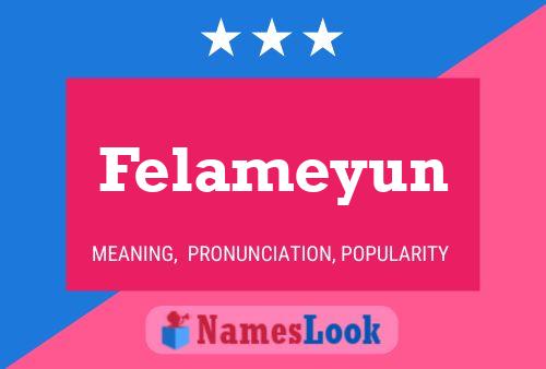 Póster del nombre Felameyun